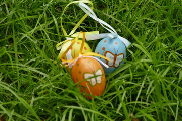 easter eggs and chicken