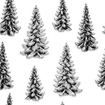 Fir tree spruce graphic black white seamless pattern background sketch illustration vector