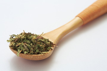 Fototapeta na wymiar Image of Stevia leaf (herb)