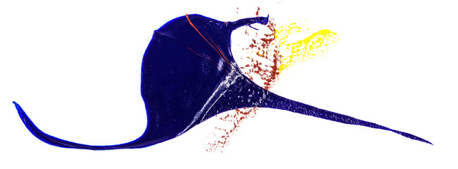 stain of blue, yellow and red oil paint. smear on white background