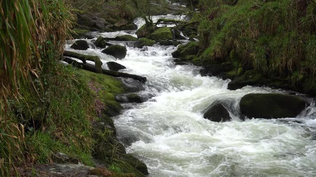 The river Fowey runs through woodland in full spate at Golitha Falls, Cornwall, UK