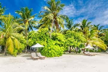 Fototapeta premium Beautiful beach. Chairs on the sandy beach near the sea. Summer holiday and vacation concept for tourism. Inspirational tropical landscape