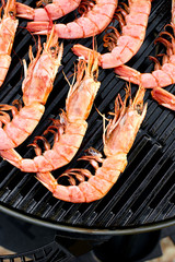 Grilled big tiger shrimps prawns on grill pan,