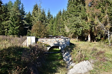 Sumava National Park, nature of the Czech Republic, picture from summer