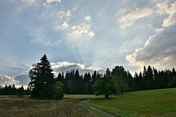 Sumava National Park, nature of the Czech Republic, picture from summer