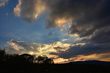 Sumava National Park, nature of the Czech Republic, picture from summer