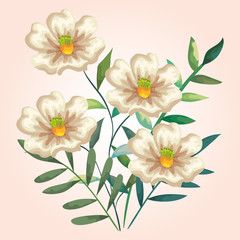 Fototapeta premium tropical flowers plants with branches leaves