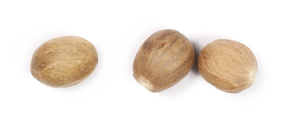 Nutmeg isolated on white background, top view