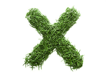 Letter X, alphabet made of green grass, collected from Christmas tree branches, green fir. Isolated on white background