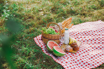 Picnic and healthy food concept. Horizontal color photography.