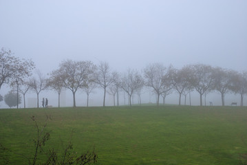 Green meadow with trees a winter morning with fog. With a couple walking. In a park in Madrid. Spain