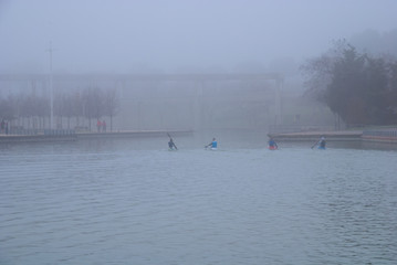 Fototapeta na wymiar Four canoeists with their backs on a canal in a park in Madrid, Spain. A morning with fog.