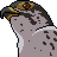 vector pixel art hawk head