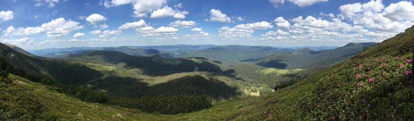 Naklejka premium Ukraine