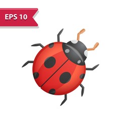 Professional, pixel-aligned icon in realistic colors.
