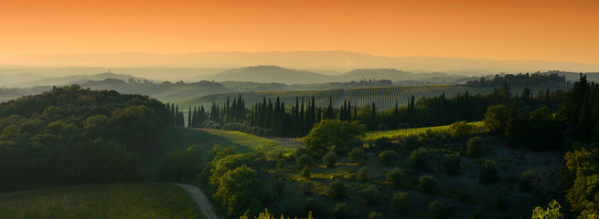 beautiful tuscan landscape at sunset with cypress and olive trees near Castellina in Chianti...