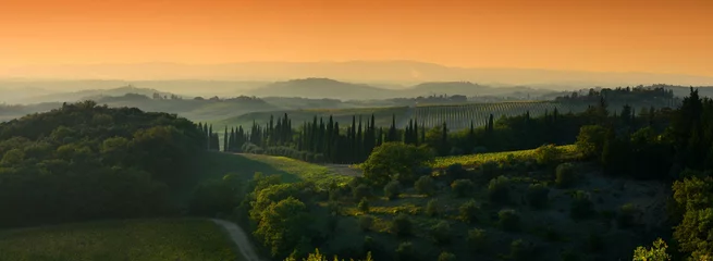 Türaufkleber beautiful tuscan landscape at sunset with cypress and olive trees near Castellina in Chianti (Siena). Italy © Dan74