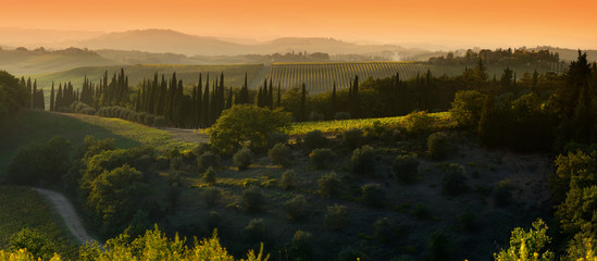 beautiful tuscan landscape at sunset with cypress and olive trees near Castellina in Chianti (Siena). Italy - obrazy, fototapety, plakaty