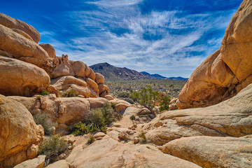View of Joshua Tree Valley