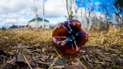 garbage on the grass