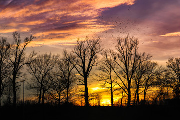 Fototapeta premium Sonnenuntergang 
