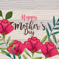 beautiful roses plants with leaves to mothers day