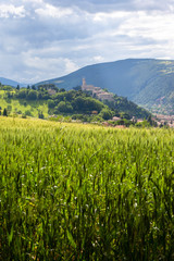 Fototapeta premium Camerino in Italy Marche over colourful fields