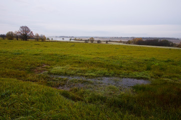 Obraz premium landscape with wheat field and blue sky