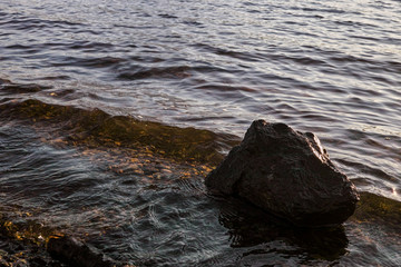 Water lapping at a wet rock on the edge of a lake