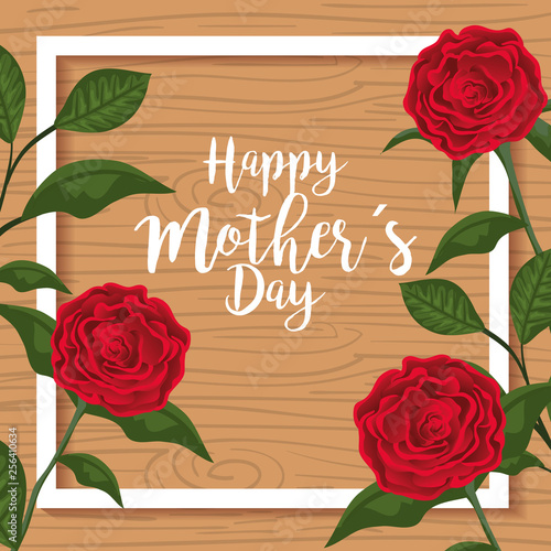 beauty roses plants to mothers day