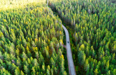 Fototapeta premium Aerial view of a country road in the forest with moving cars. Beautiful landscape. Captured from above with a drone. Aerial top view forest. Texture of forest view from above.