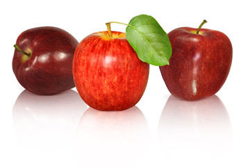 Obst 732