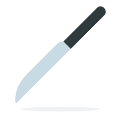 Meat knife vector flat isolated