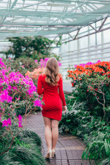 Gorgeous young slim girl in a red dress walks in a greenhouse in blooming azaleas