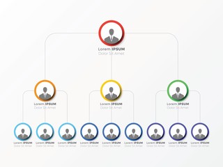 organizational structure of the company. business hierarchy infographic elements. multi-level business management structure