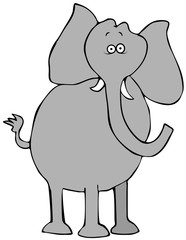 Startled African elephant