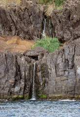Fototapeta na wymiar Steep cliffs and waterfall in Madeira and the Atlantic Ocean. Taken near Cabo Girao