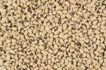 Alubia carilla, composición como fondo