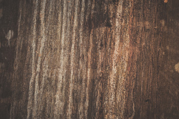 texture of old wood