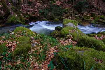 Wasserfall mit Steinen voller Moos
