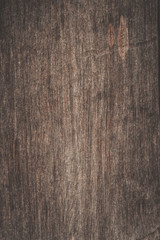 texture of old wood