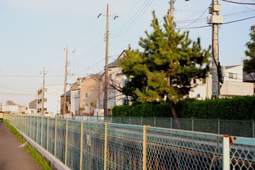 日本の郊外の町と青空の風景