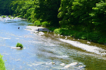 日本の夏、煌めく気仙川。陸前高田　岩手　日本。７月上旬。