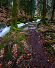 Wasserfall mit Steinen voller Moos