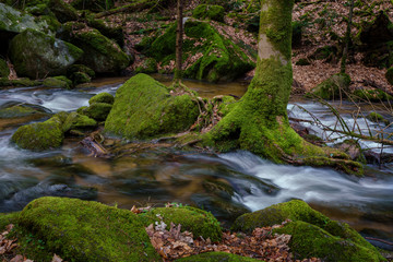 Obraz premium Wasserfall mit Steinen voller Moos
