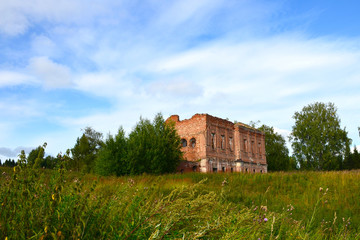 The ruins of an old ruined red brick fortress in thickets of high grass and trees