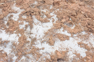 Salt stains