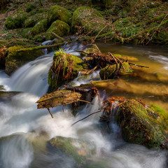 Wasserfall mit Steinen voller Moos