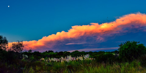 sunset over green field with a big orange cloud in the backgroudn