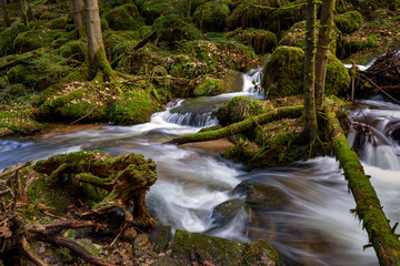 Wasserfall mit Steinen voller Moos